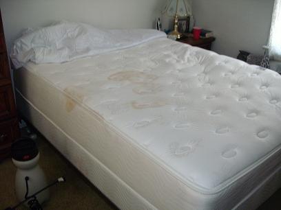 Before Mattress Cleaning